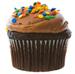 Chocolate & Sprinkles Cupcake