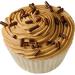 Choc Chip Fudge Cupcake