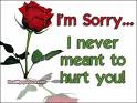 I NEVER MEANT TO HURT YOU