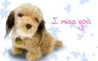cute,i miss you