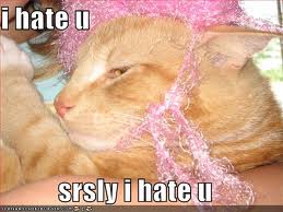 I hate u