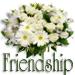 Friendship
