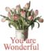 You are Wonderful