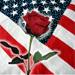 Patriotic Rose