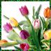 Happy Day