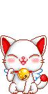 Chaton 3
