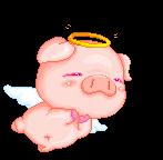 Cochonet 1