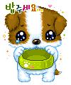 Chiot 1