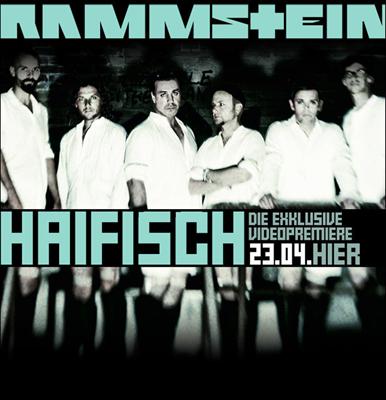 haifisch