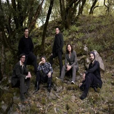 in the woods