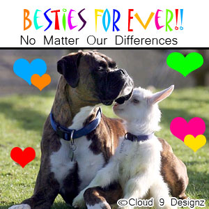 To My Bestie