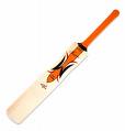 cricket bat