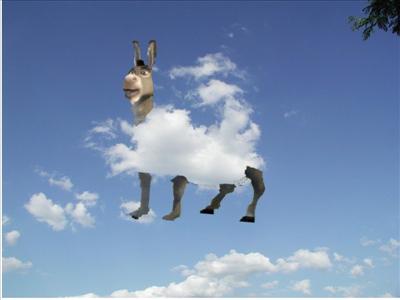 Air Donkey