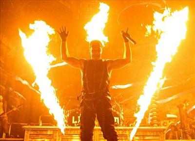 fire bug