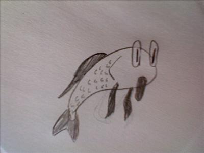 fish