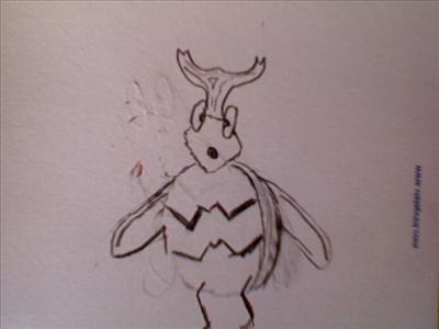 beetle