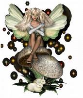Fairy Flower 
