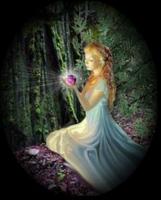 Angel Light 