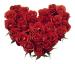Red Roses Heart 