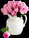 roses to you