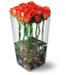 glass of roses 