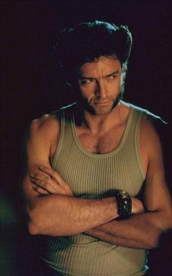 Wolverine