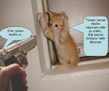 şansızzsın