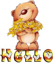 the hello bear
