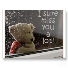 the miss u bear