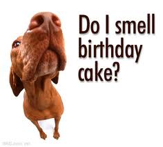 happy birthday 5