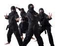 clan of ninjas