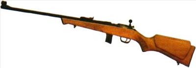 .22 Rifle