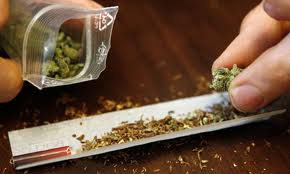 Cannabis