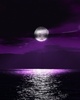 purple moon