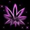 purple bud