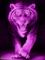 purple wild