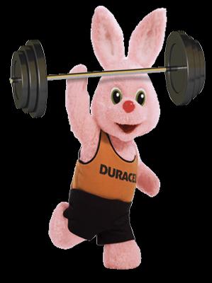 Duracell Bunny