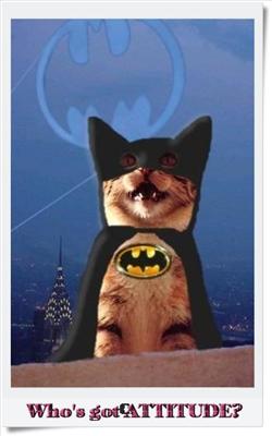 catittude