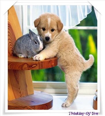 cute greeting