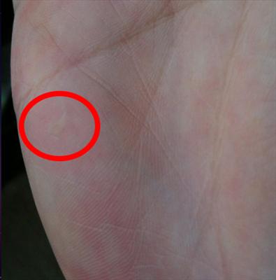 Bullet in hand