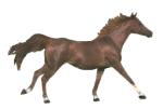 Cavallo ღlibertàღ