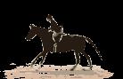 Cavallo ღsaltoღ