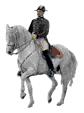 Cavallo ღdisciplinaღ