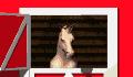 Cavallo ღsolitudineღ