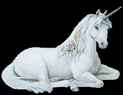 Unicorno ღmagiaღ