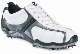 Shoe