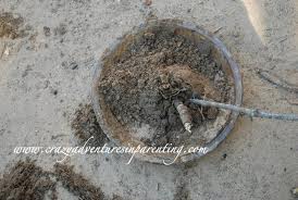 Mud pie