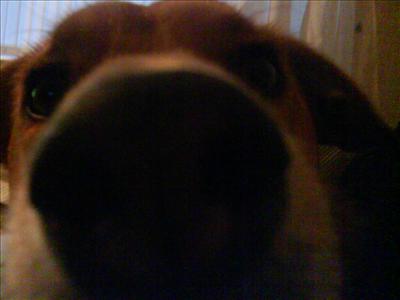 Katie Close Up x