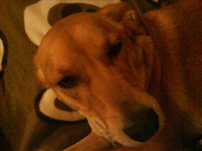 Katie Relaxed x
