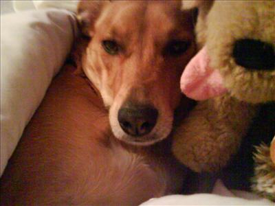 Katie At Bed Time x